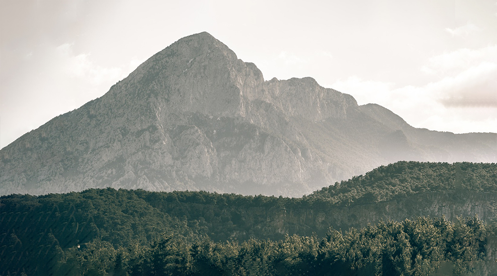 &Ccedil;evre Dostu Mobilyalar