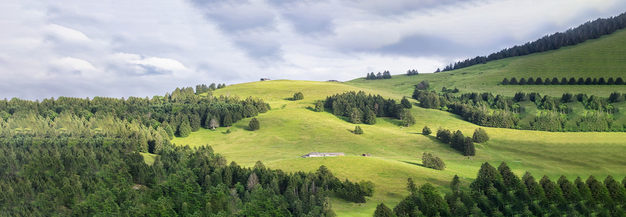 &Ccedil;evre Dostu Mobilya
