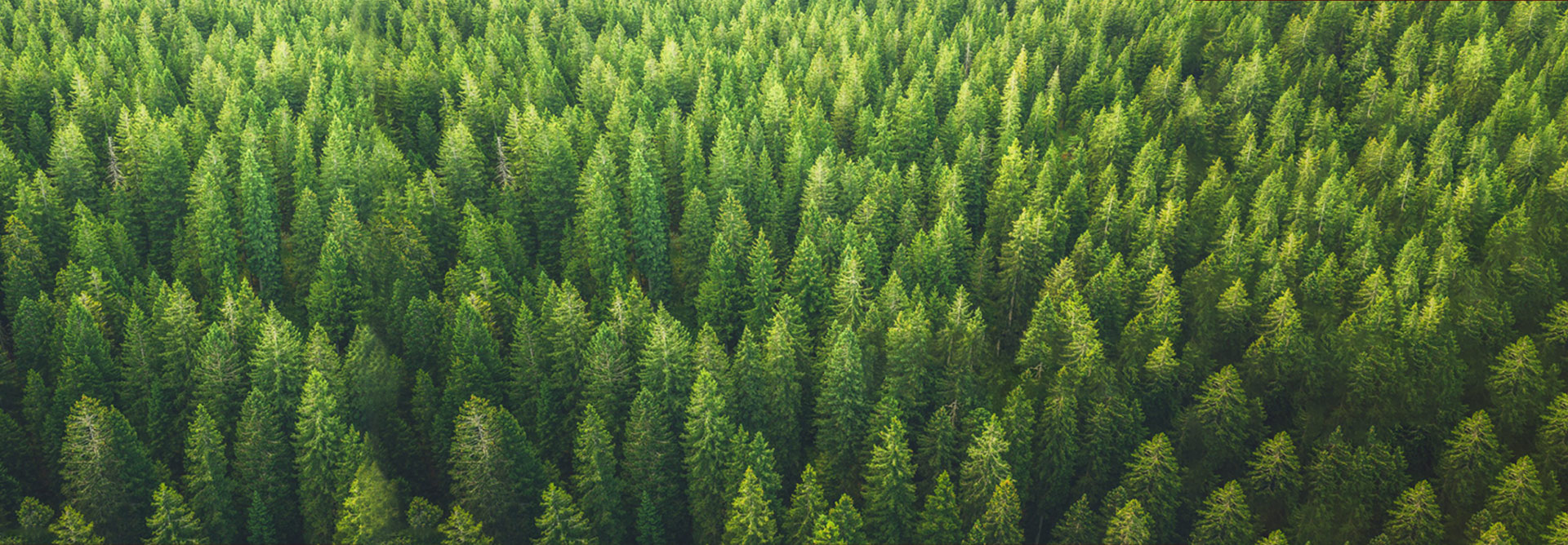 &Uuml;st d&uuml;zey &ouml;zel mobilyalar