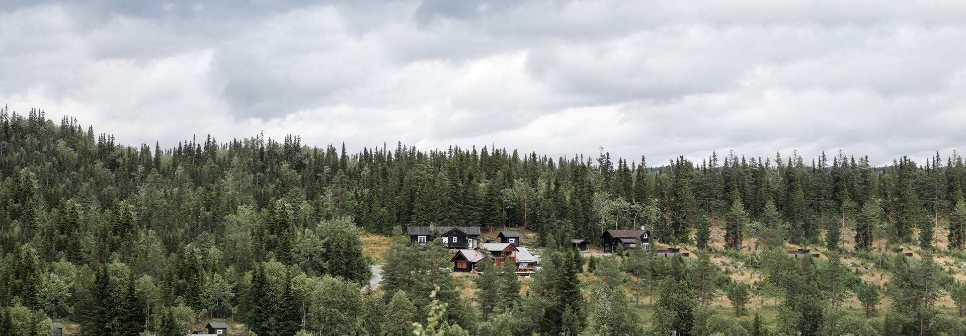 &Ccedil;evre Dostu Mobilya